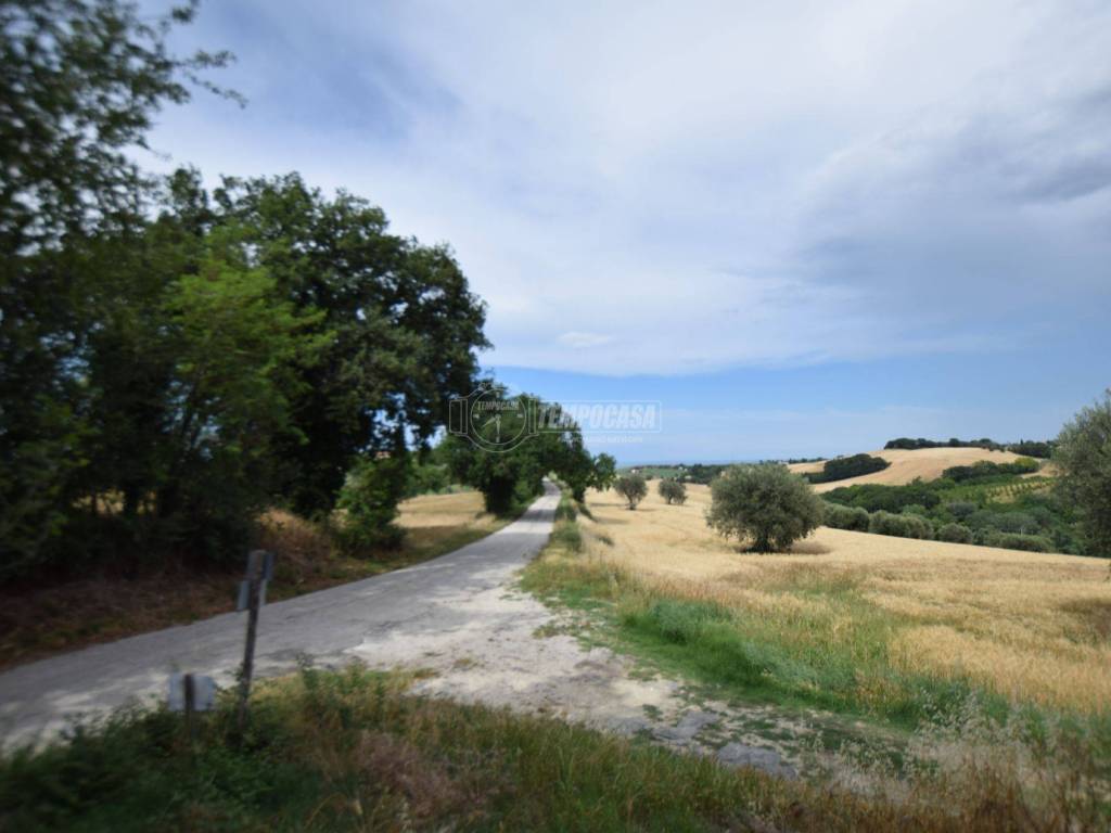 Terreno a Senigallia in Strada di Montedoro - Foto 5