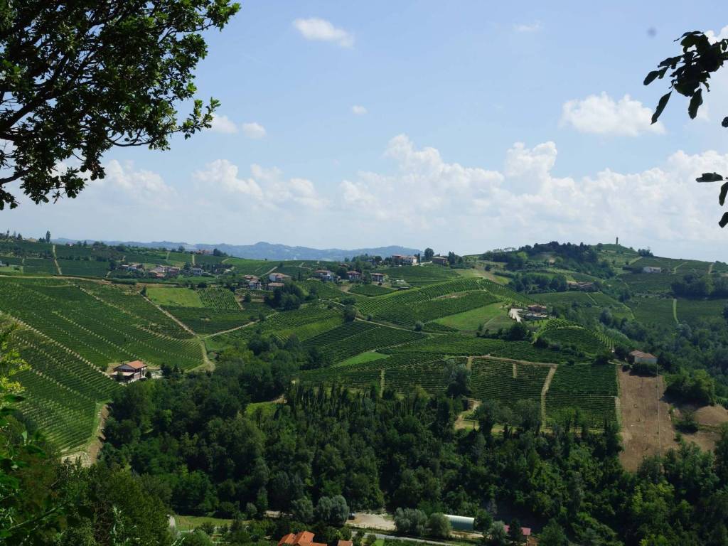 Rustico / casale a Calosso in Via Calva - Foto 4