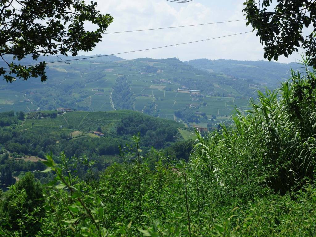Rustico / casale a Calosso in Via Calva - Foto 5