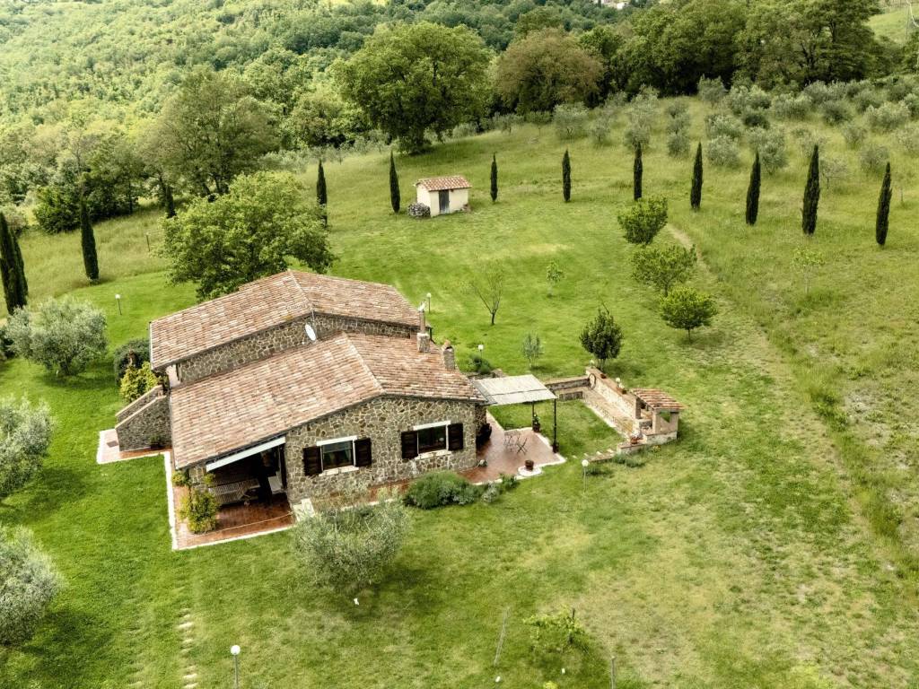 Rustico / casale a Scansano - Foto 2