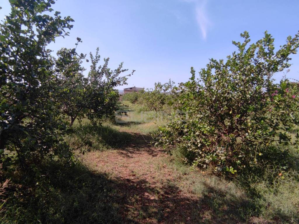 Terreno a Floridia in strada finaidi - Foto 2