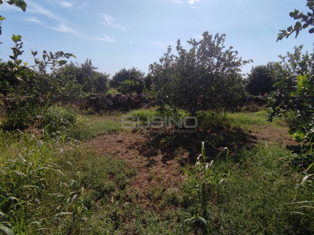 Terreno a Floridia in strada finaidi - Foto 4