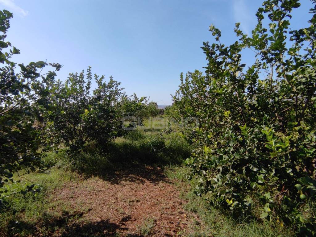 Terreno a Floridia in strada finaidi - Foto 5