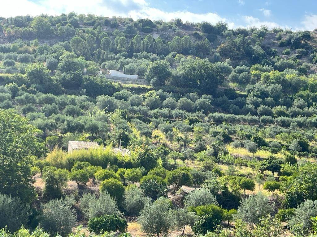 Terreno a Noto in Contrada San Domenico - Foto 3