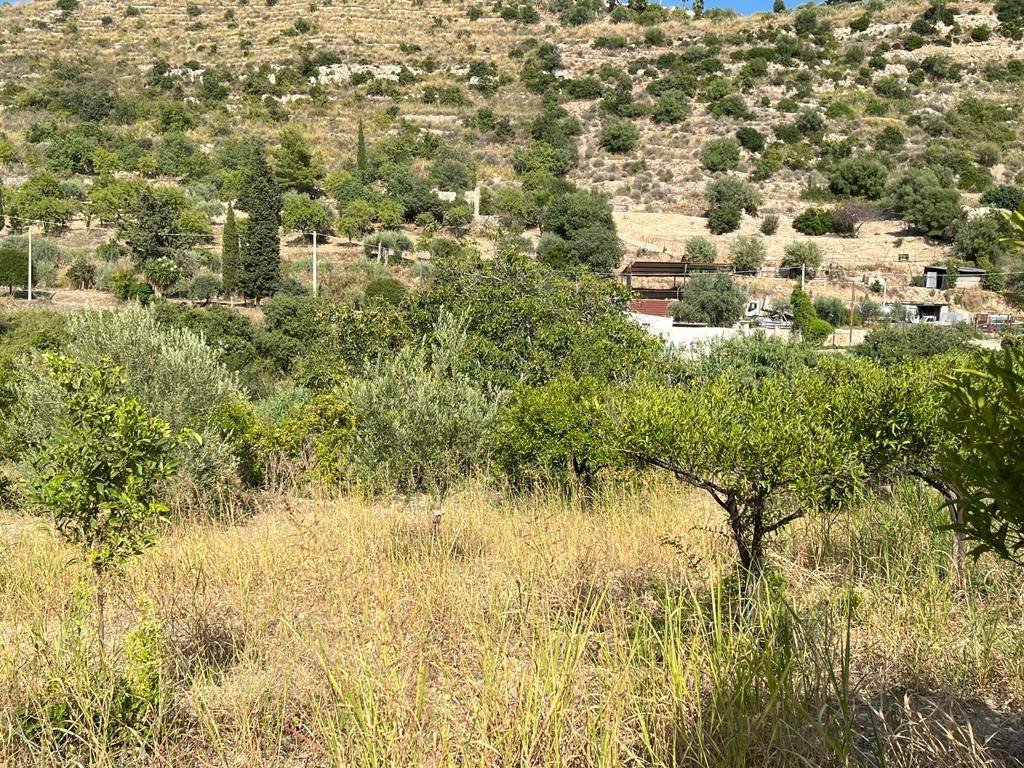 Terreno a Noto in Contrada San Domenico - Foto 5