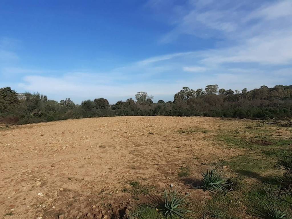Terreno a Arzachena - Foto 3