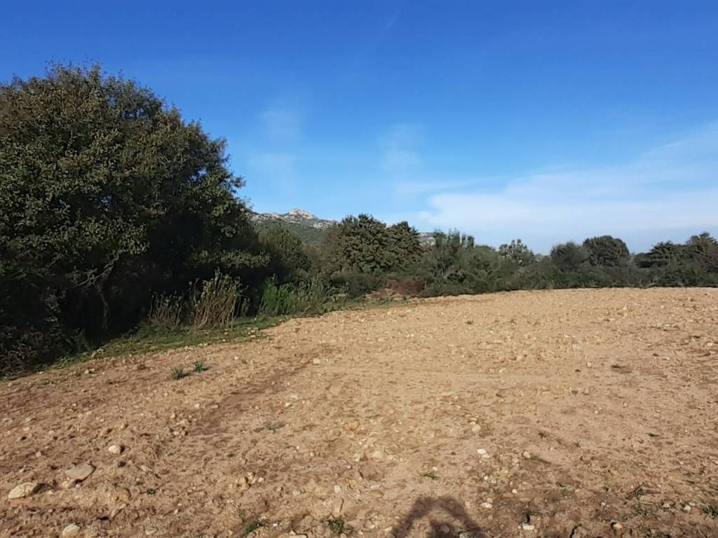 Terreno a Arzachena - Foto 4
