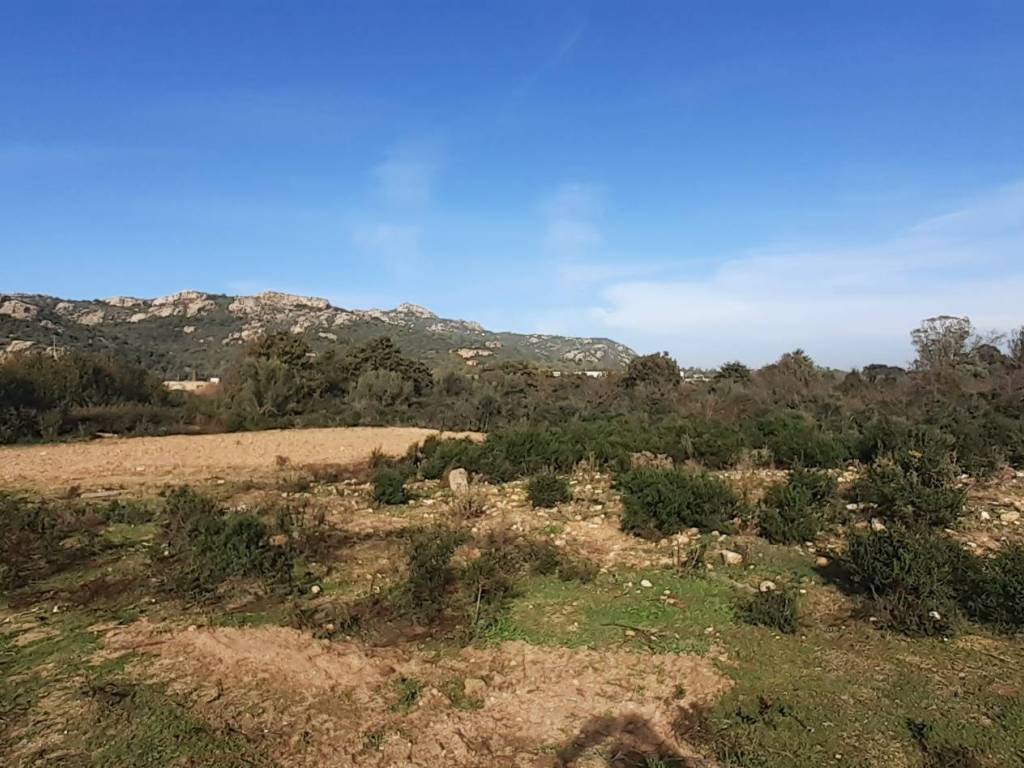 Terreno a Arzachena - Foto 5