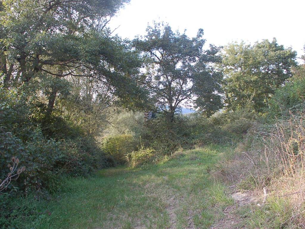Rustico / casale a Passignano sul trasimeno in Via dei Cespugli - Foto 2