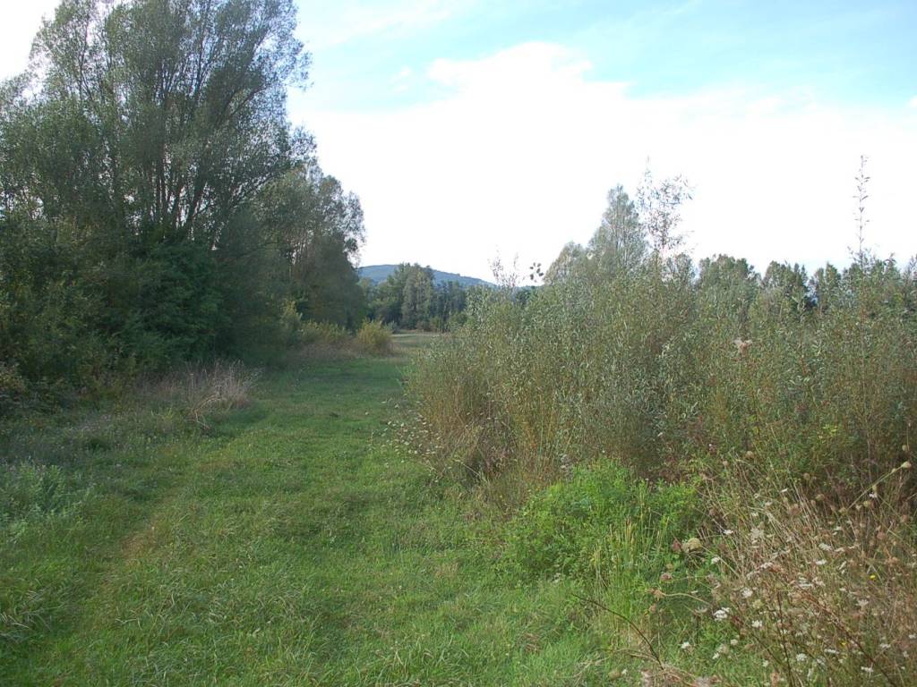 Rustico / casale a Passignano sul trasimeno in Via dei Cespugli - Foto 3