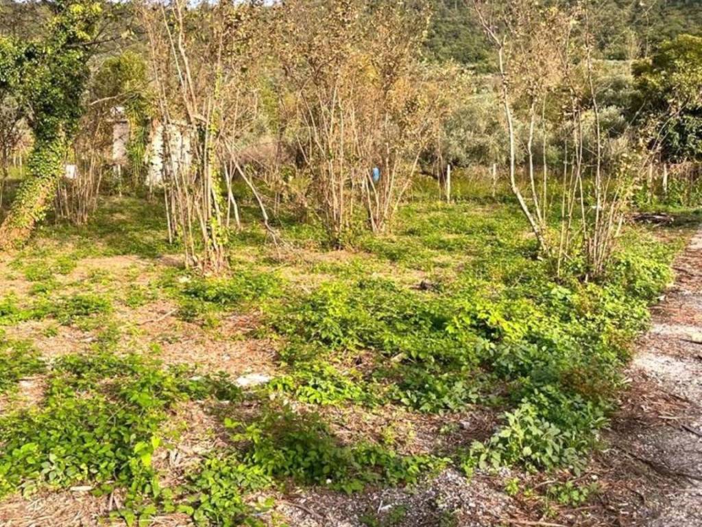 Terreno a Sarno in Fossalupara S.N.C. - Foto 3