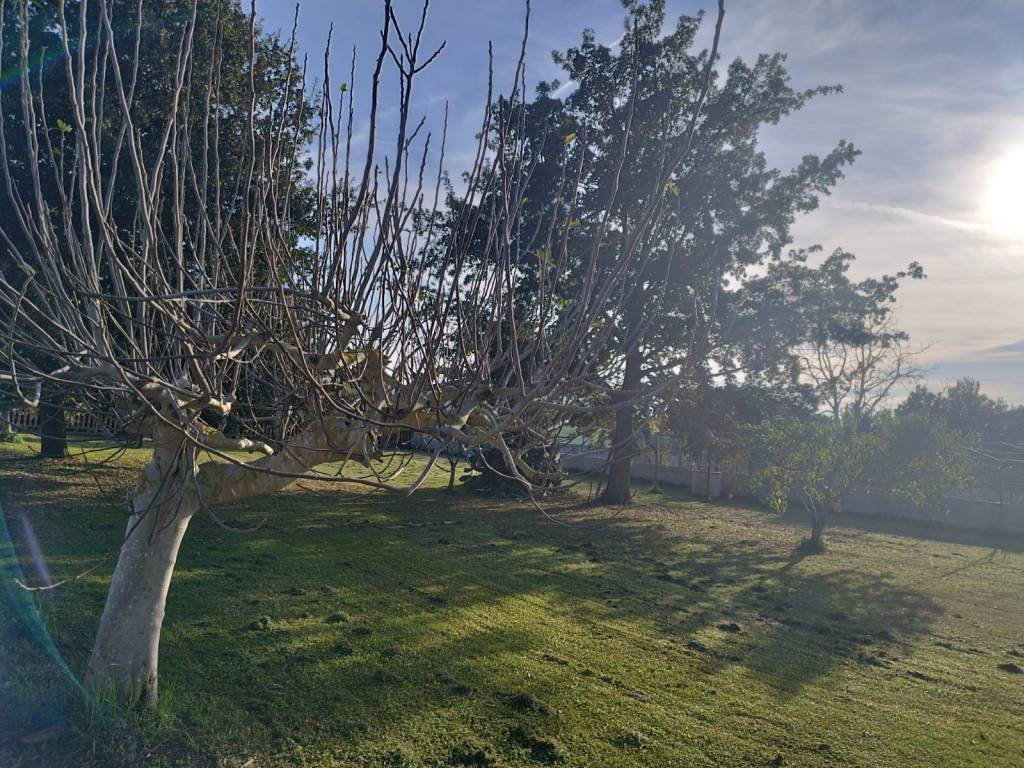 Terreno a Terracina in Via Pontina - Foto 2