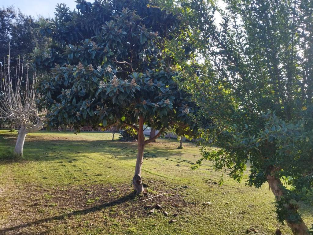 Terreno a Terracina in Via Pontina - Foto 4