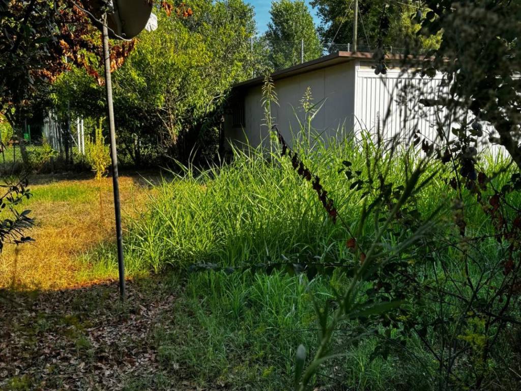 Casa indipendente a Montagnana in Via Canale, 7 - Foto 4