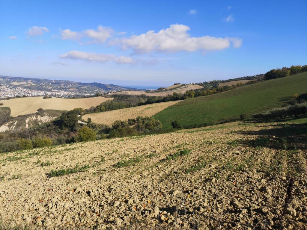 Terreno a Colonnella in Contrada Rio Moro - Foto 2