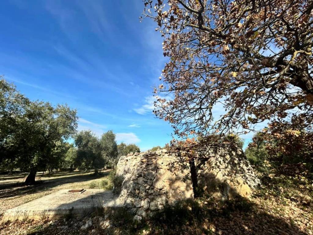 Terreno a Cassano delle murge in Via Grumo - Foto 3