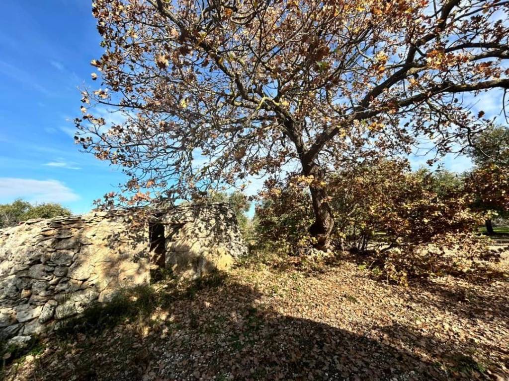 Terreno a Cassano delle murge in Via Grumo - Foto 4