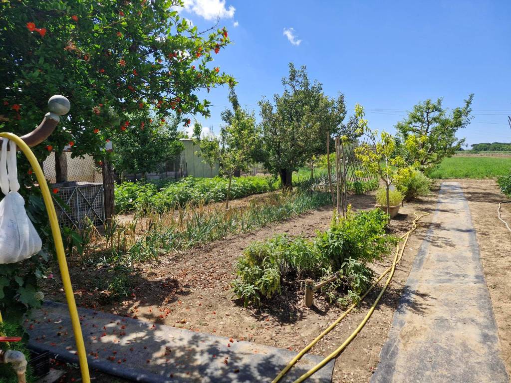 Terreno a Campiglia marittima in Via della Monaca - Foto 3