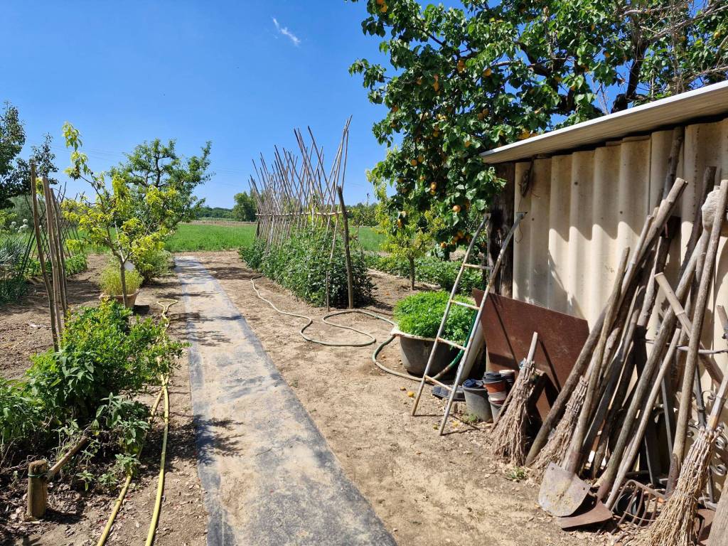 Terreno a Campiglia marittima in Via della Monaca - Foto 4