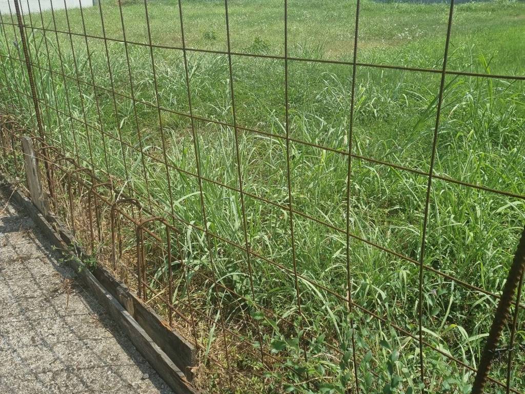 Terreno a Lodi in Viale Piacenza, 8 - Foto 5