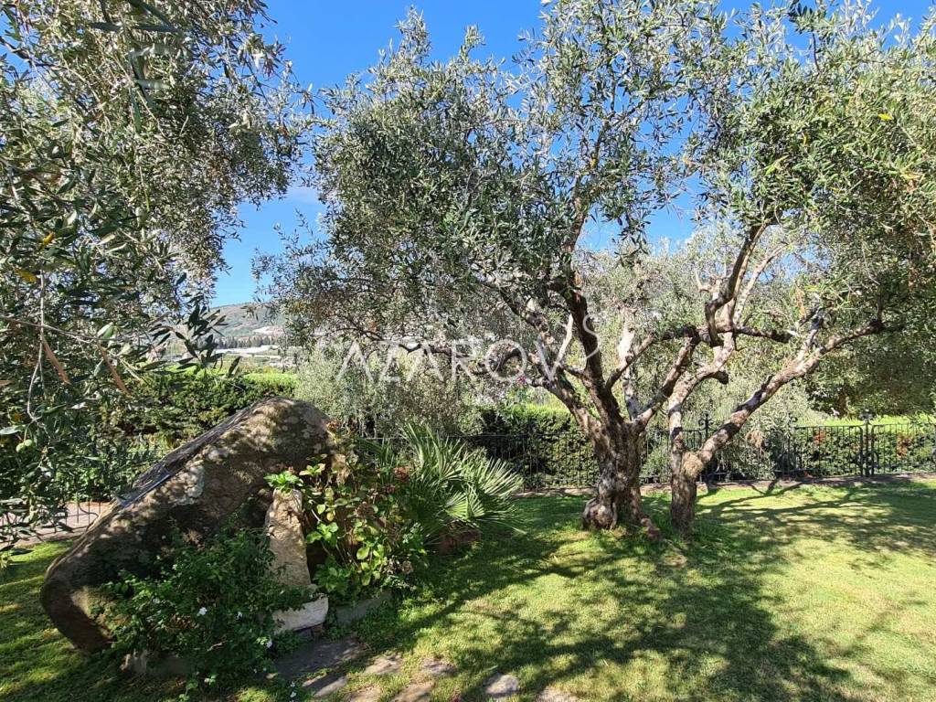 Villa a Taggia in Via Salvatore Revelli, 90 - Foto 5