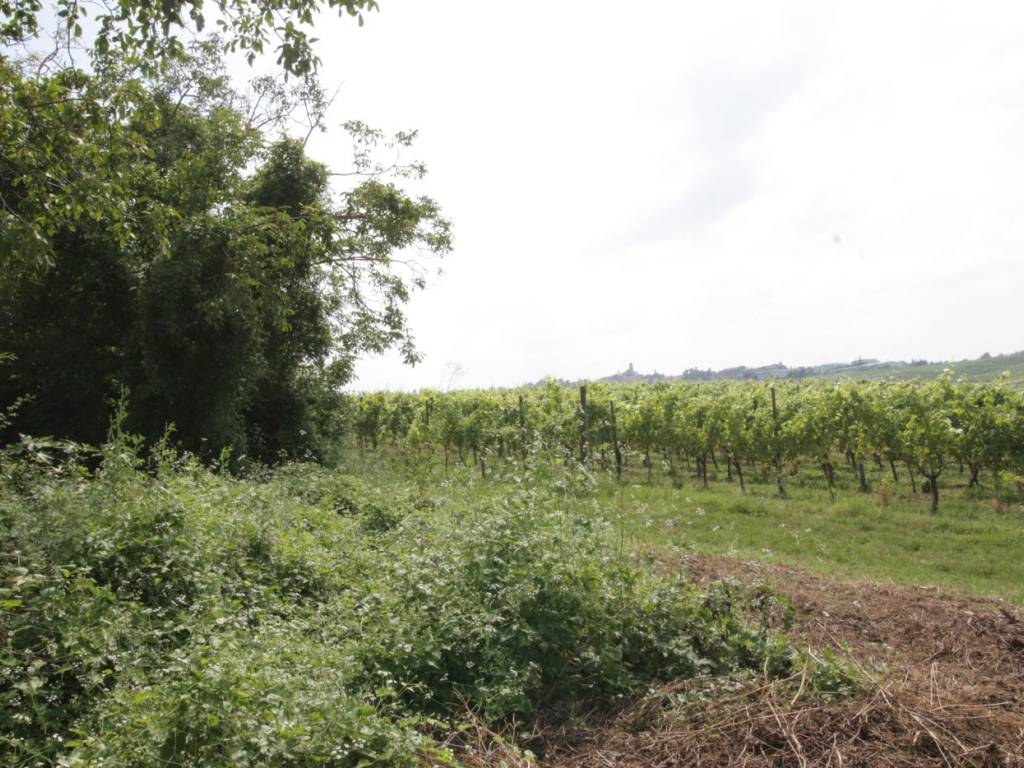 Rustico / casale a Ziano piacentino in Località Case Piccioni - Foto 2