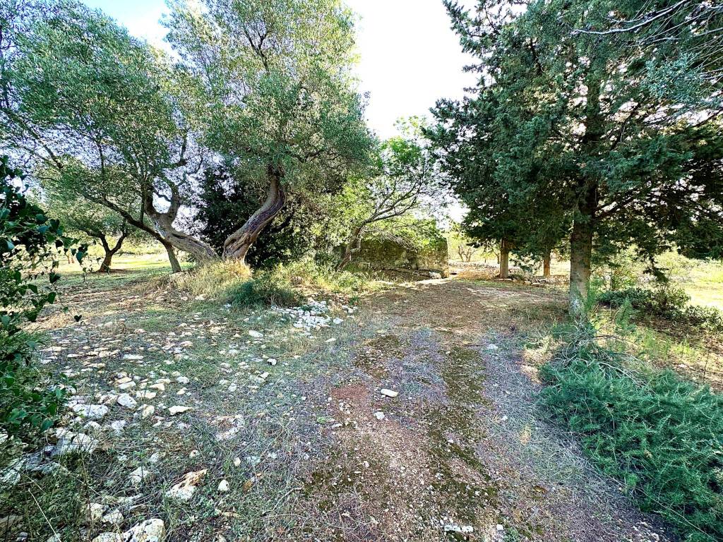 Rustico / casale a Carovigno in SS16 - Foto 3