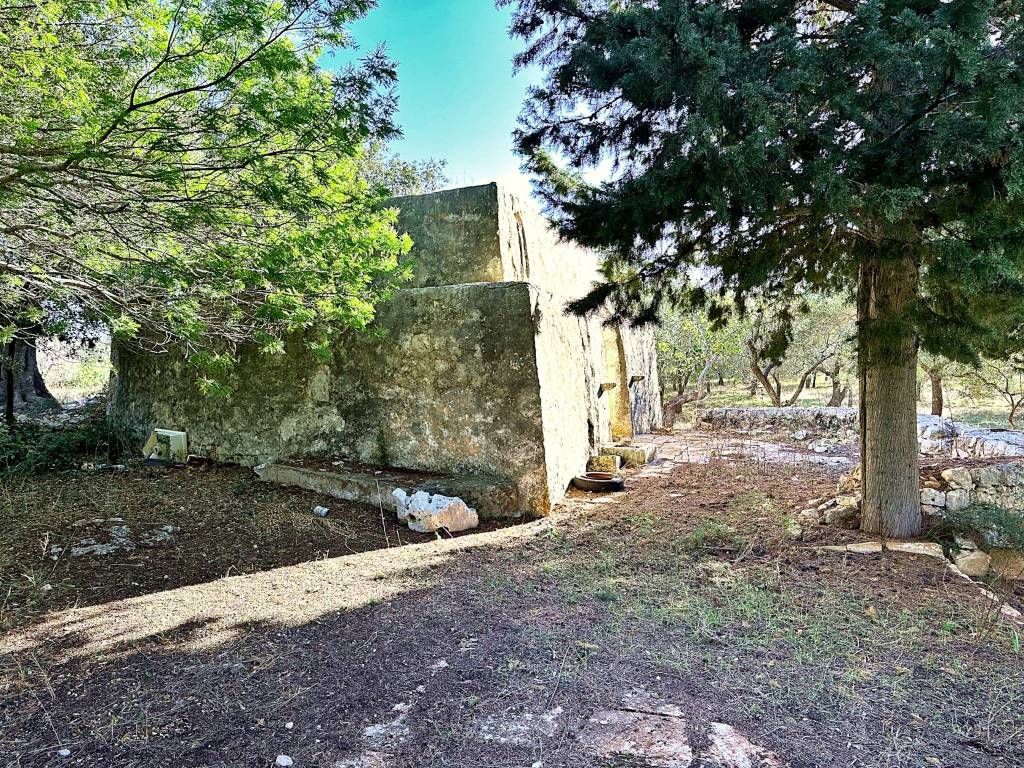 Rustico / casale a Carovigno in SS16 - Foto 4