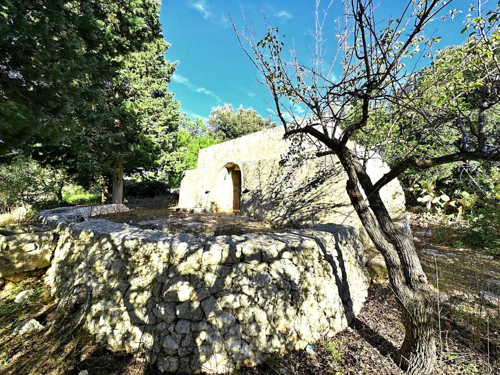 Rustico / casale a Carovigno in SS16 - Foto 5