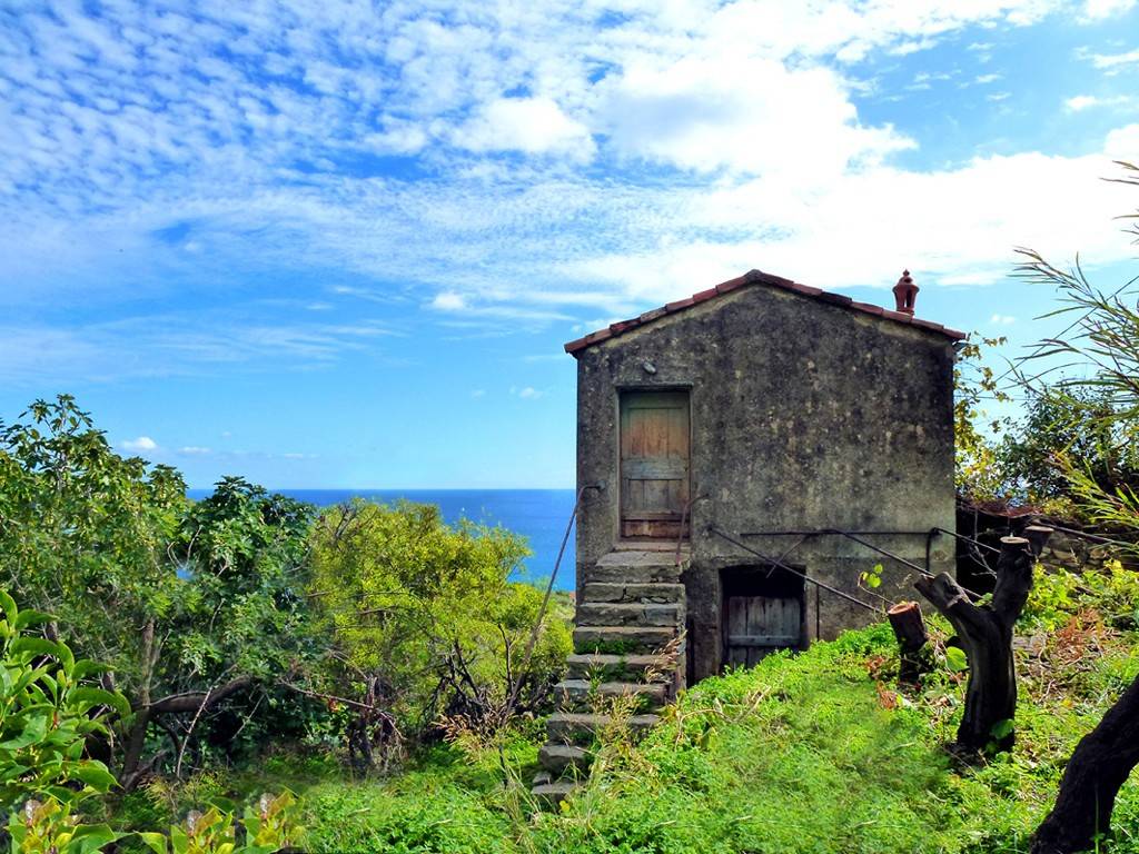 Rustico / casale a Bordighera - Foto 3