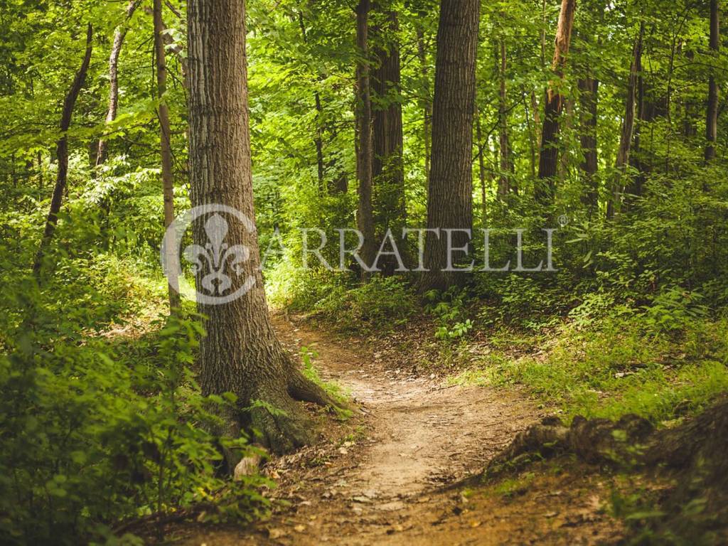 Rustico / casale a Castelnuovo berardenga in Località Monastero D'Ombrone - Foto 5