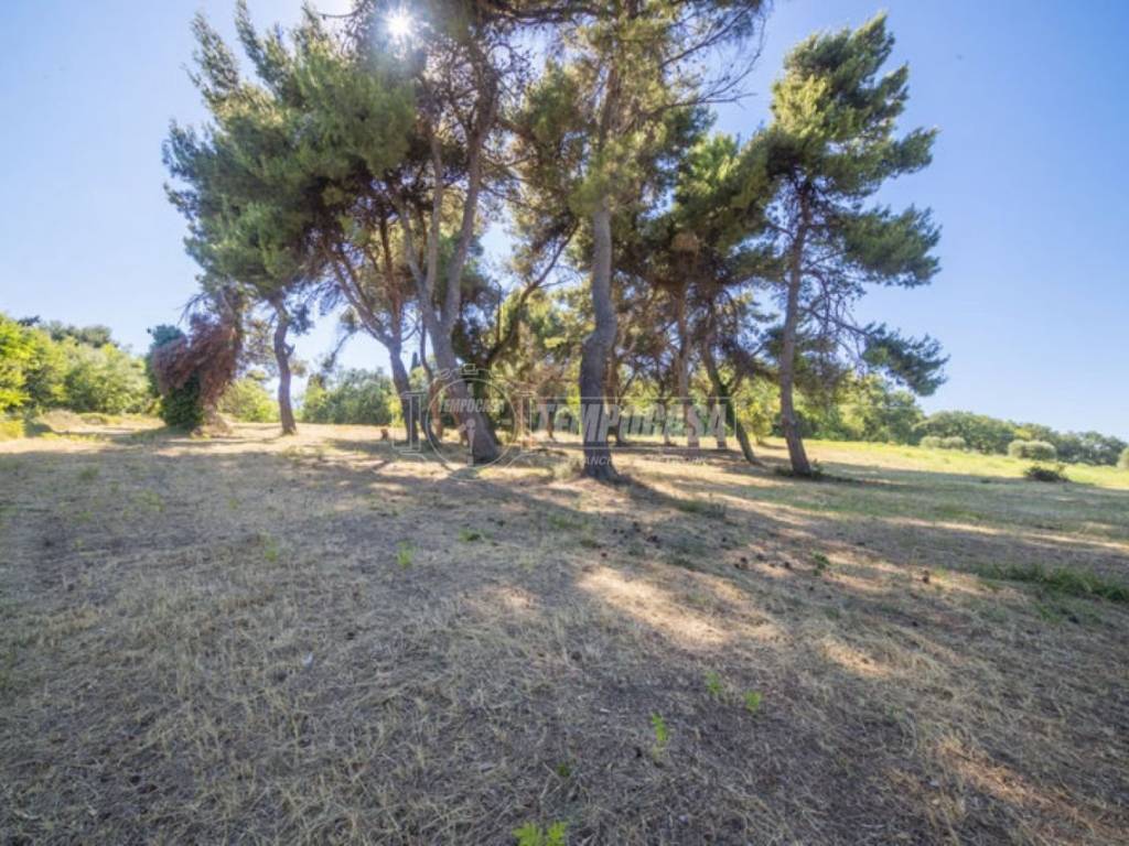 Terreno a Civitanova marche in Via Palazzaccio - Foto 2