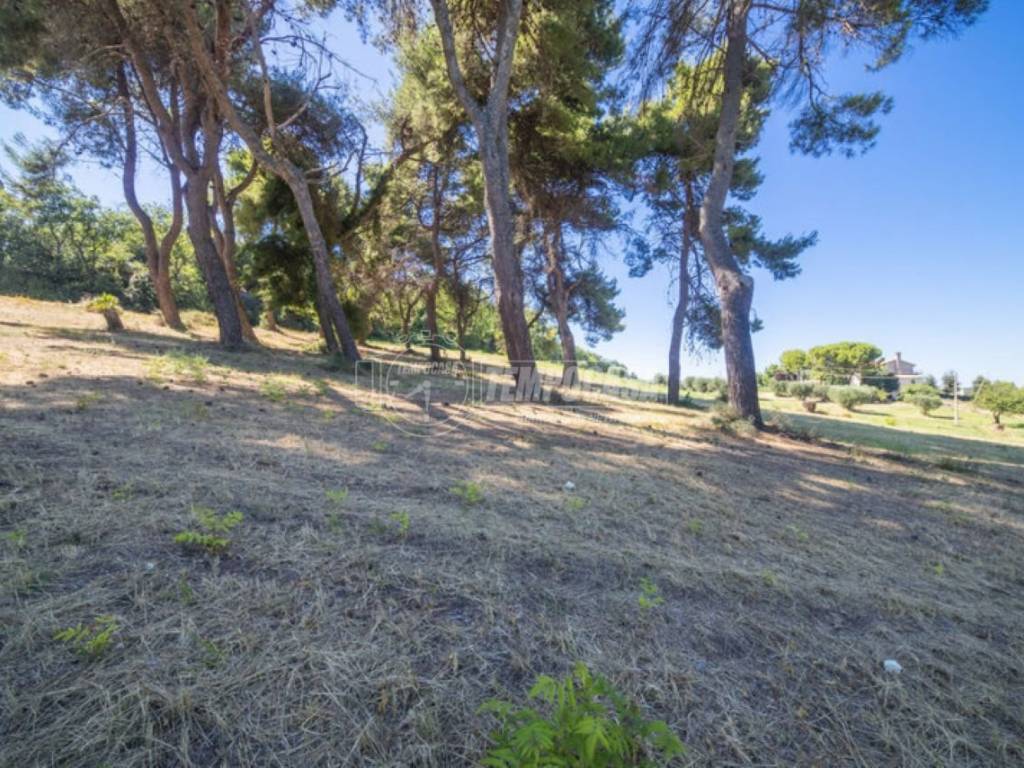 Terreno a Civitanova marche in Via Palazzaccio - Foto 3