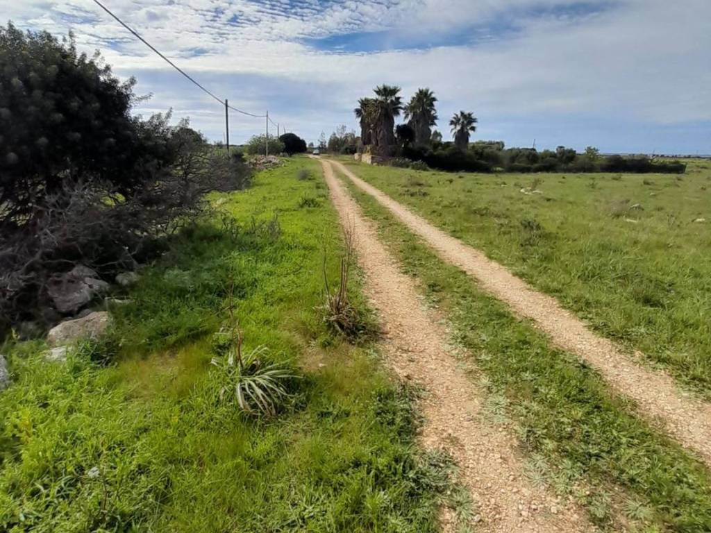 Terreno a Nardò in Strada Sant'Isidoro S.N.C. - Foto 2