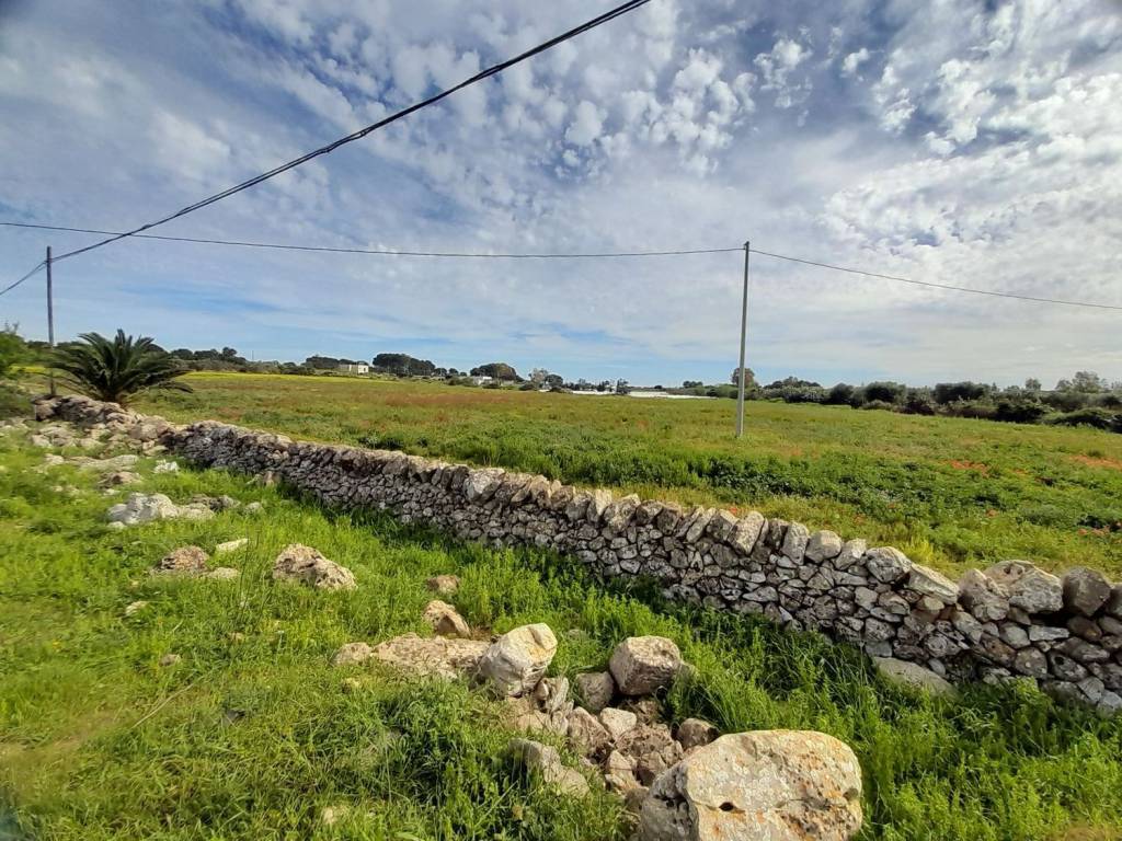 Terreno a Nardò in Strada Sant'Isidoro S.N.C. - Foto 3