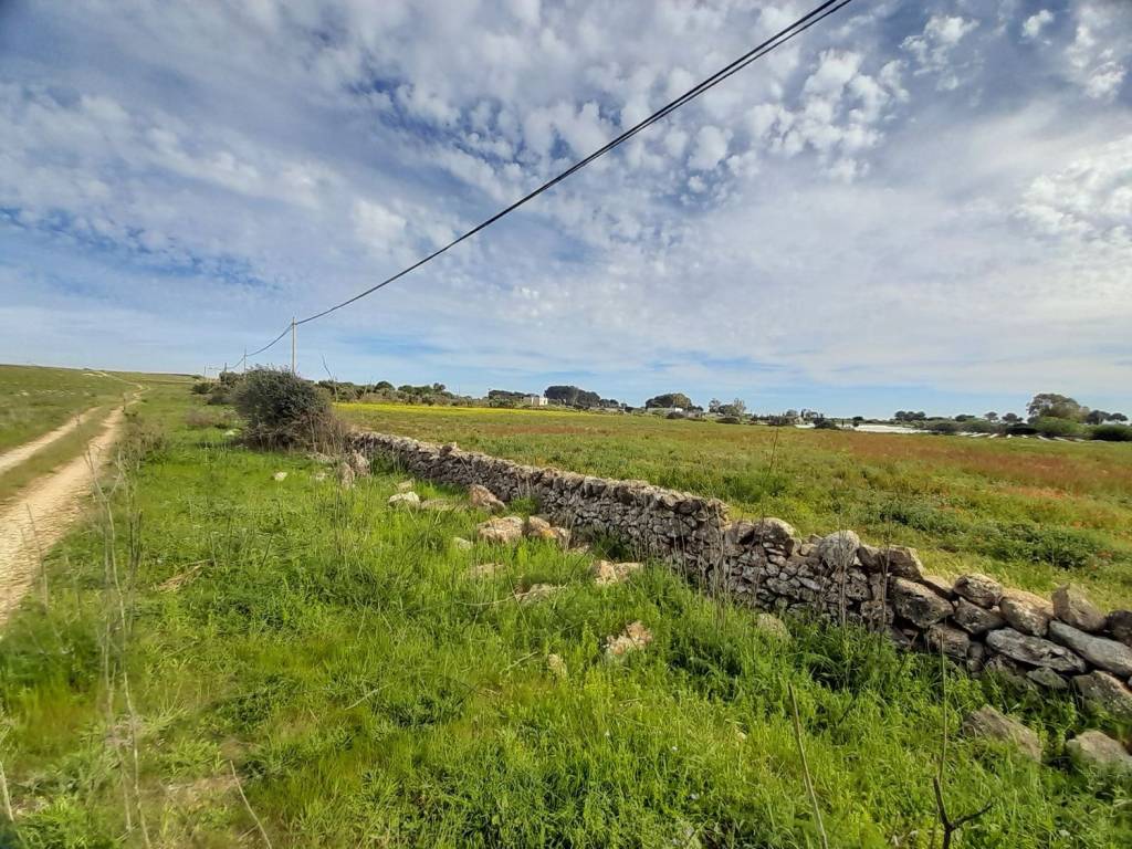 Terreno a Nardò in Strada Sant'Isidoro S.N.C. - Foto 4