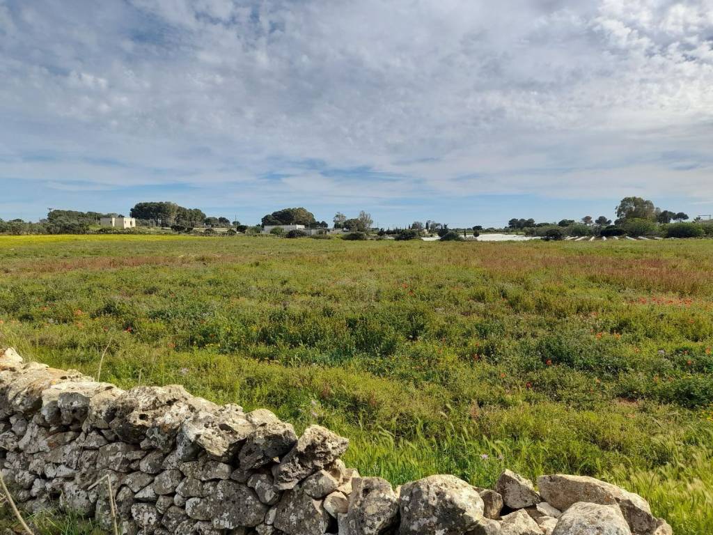 Terreno a Nardò in Strada Sant'Isidoro S.N.C. - Foto 5