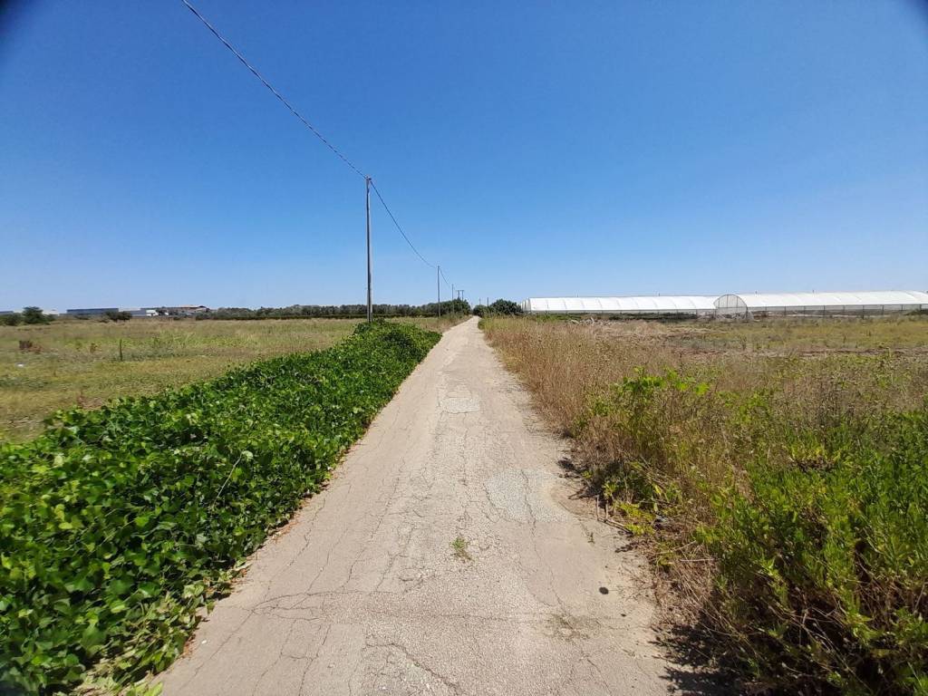 Terreno a Nardò in Contrada Mangani S.N.C. - Foto 2