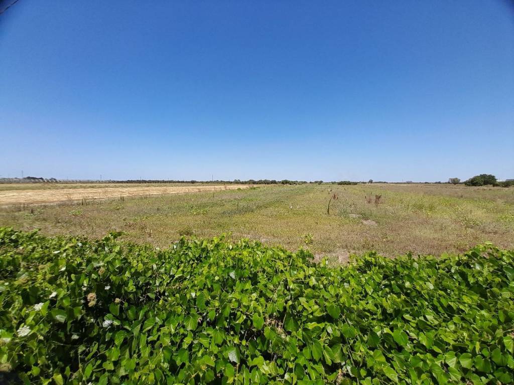 Terreno a Nardò in Contrada Mangani S.N.C. - Foto 4