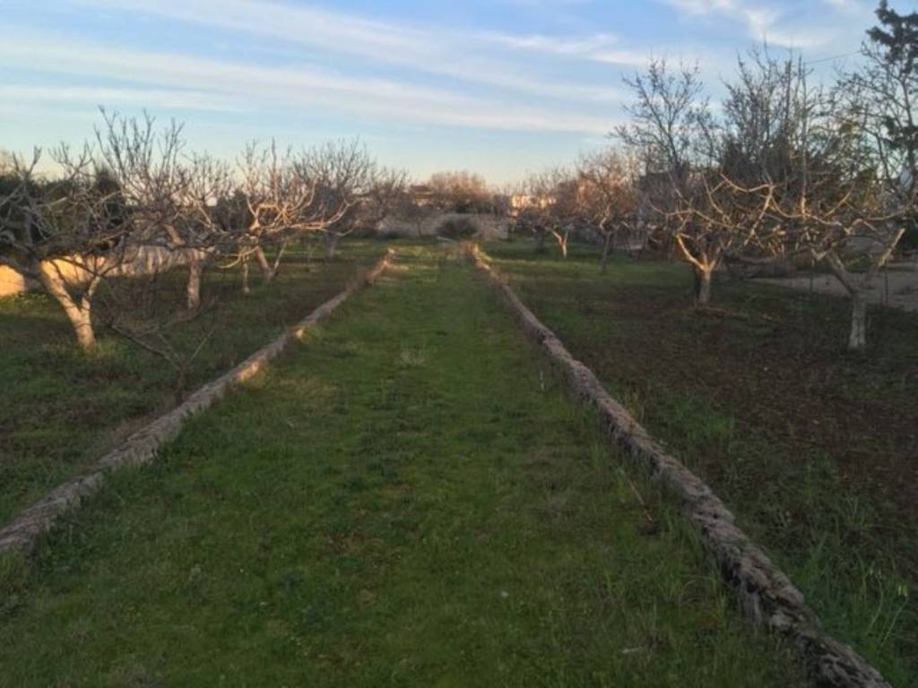 Terreno a Nardò in Via Gallipoli S.N.C. - Foto 5