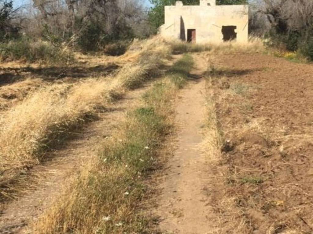 Rustico / casale a Maglie in Sp361 S.N.C. - Foto 3