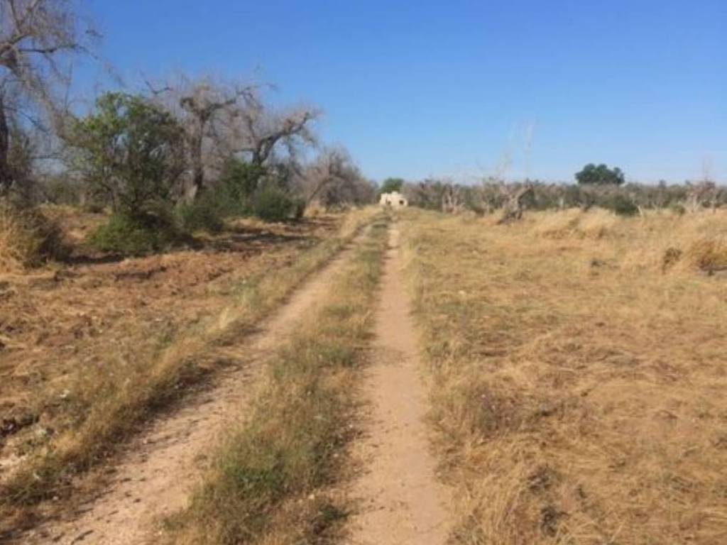 Rustico / casale a Maglie in Sp361 S.N.C. - Foto 4