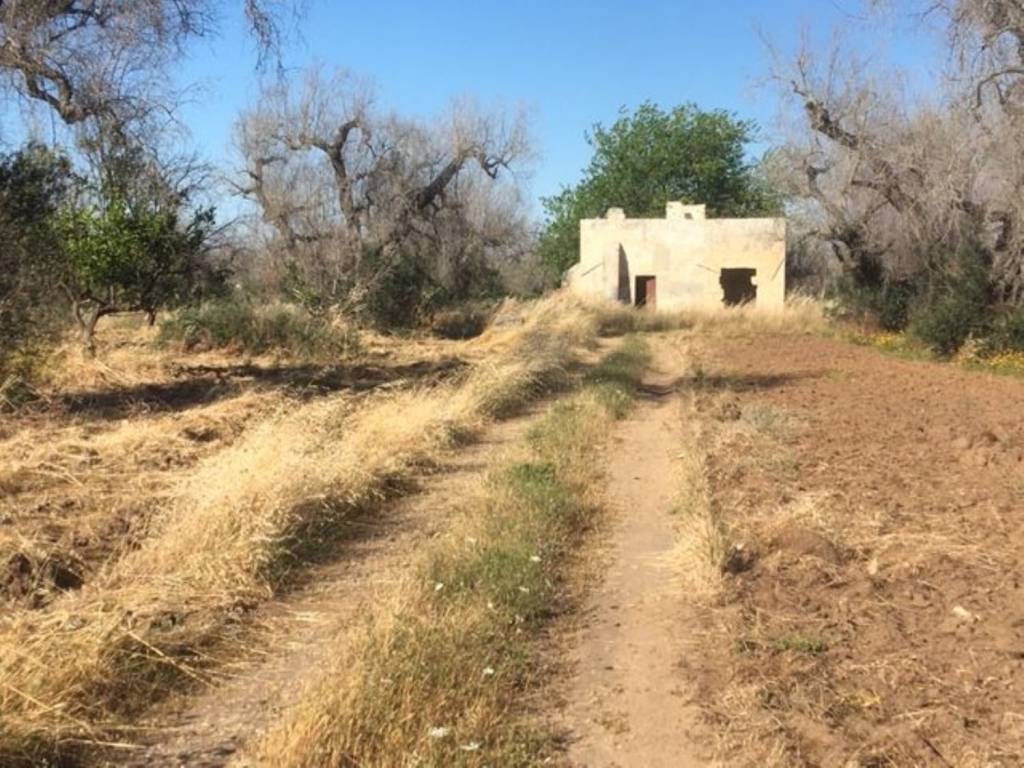 Rustico / casale a Maglie in Sp361 S.N.C. - Foto 5