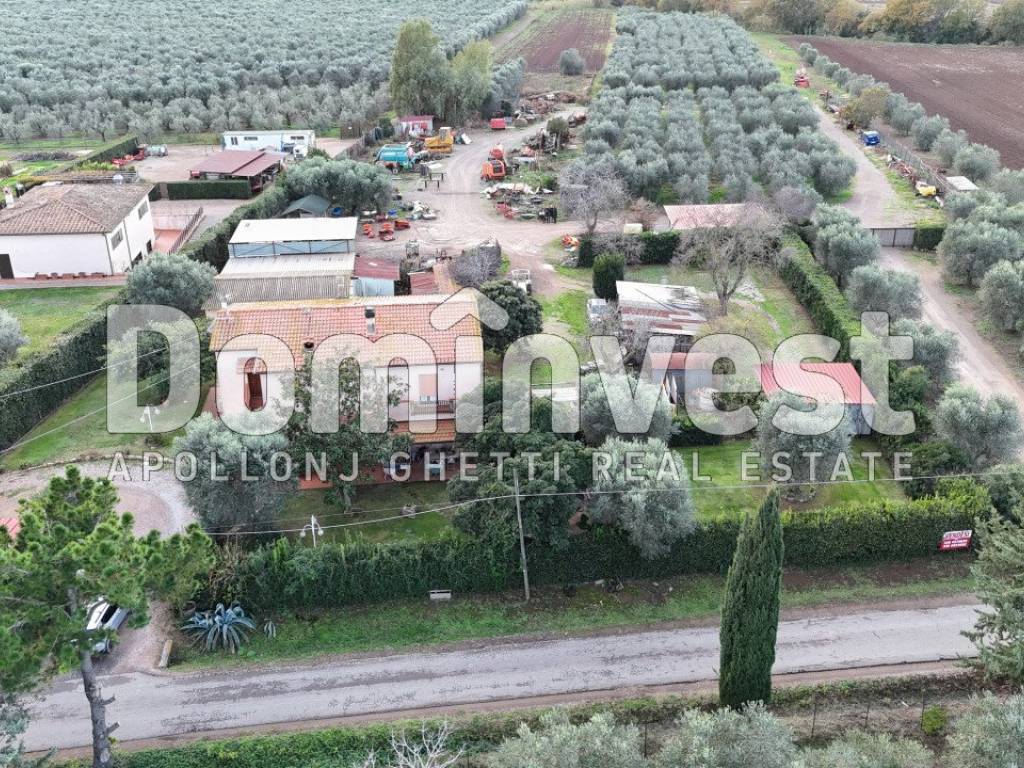 Rustico / casale a Capalbio in località torre palazzi - Foto 2