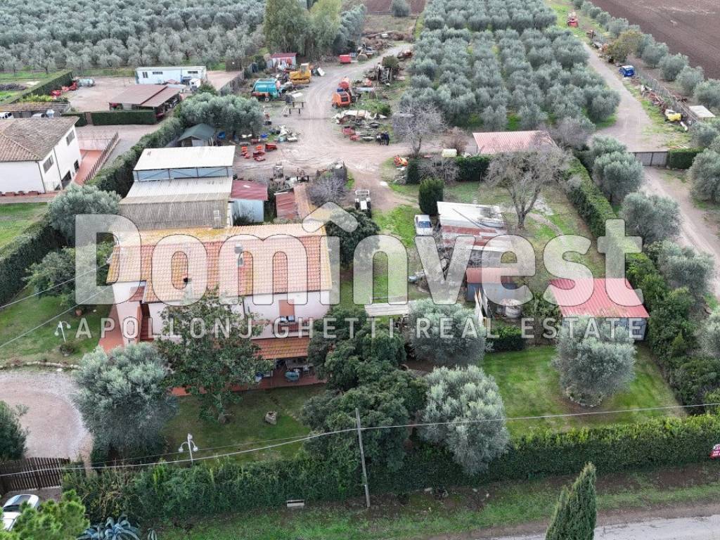 Rustico / casale a Capalbio in località torre palazzi - Foto 3