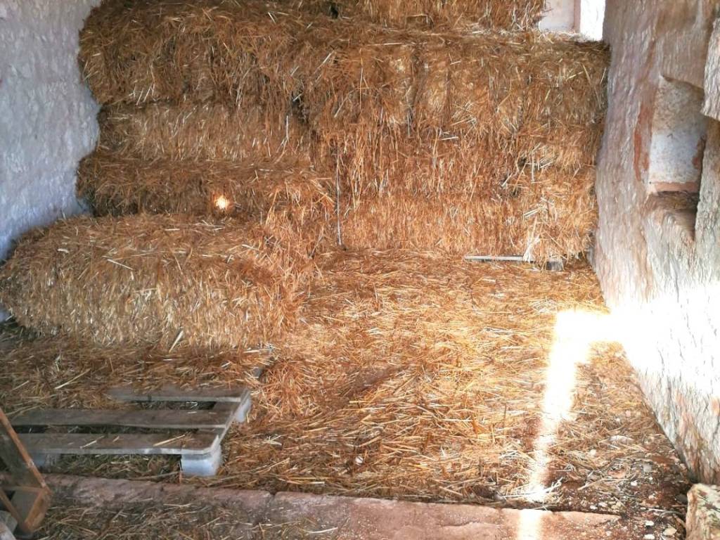 Rustico / casale a Cisternino in Contrada Figazzano - Foto 4