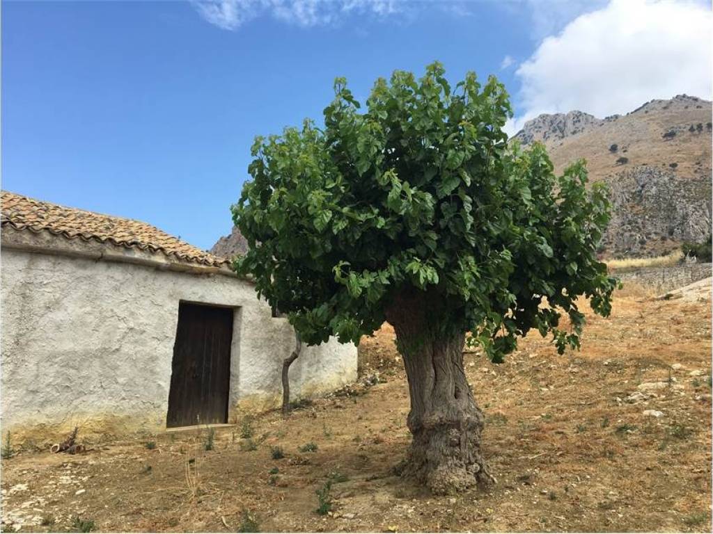 Rustico / casale a Castellammare del golfo in Contrada Ciacca di Badia - Foto 4
