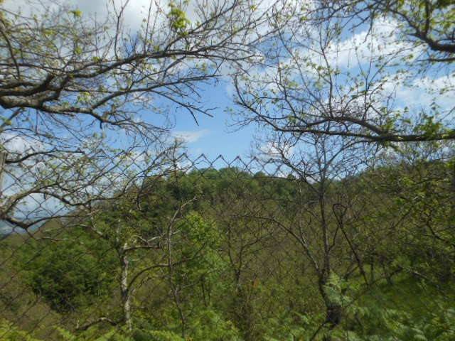 Terreno a Caianello in SP240, 81 - Foto 4