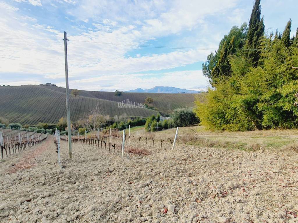 Terreno a Acquaviva picena in CONTRADA FOROLA - Foto 3