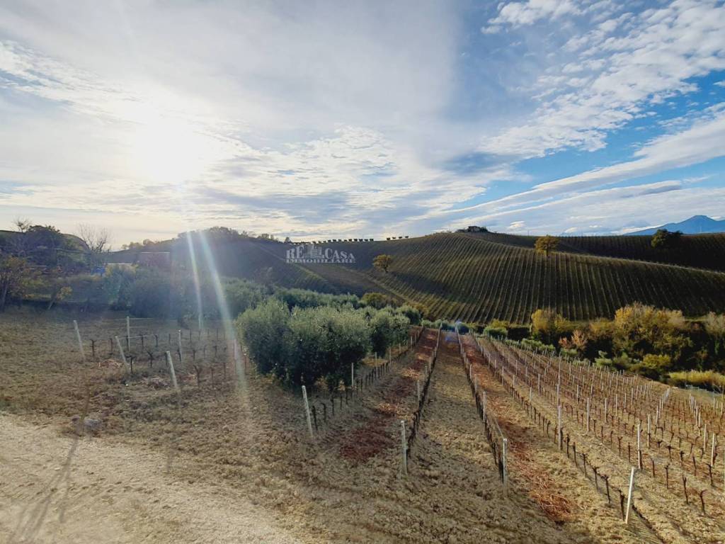 Terreno a Acquaviva picena in CONTRADA FOROLA - Foto 4